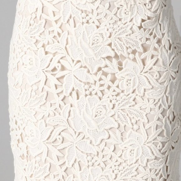 EUC Ellie Tahari Bennet Lace Skirt $398 Size 0 - Picture 4 of 14